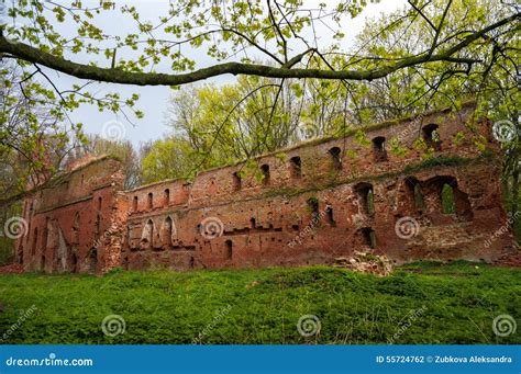 The Ruins Of The Old Castle Made Of Brick In A Clearing In The Woods