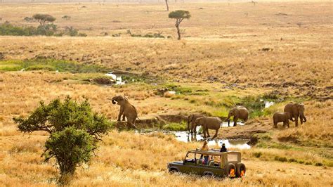 Lewa Wildlife Conservancy Kenya