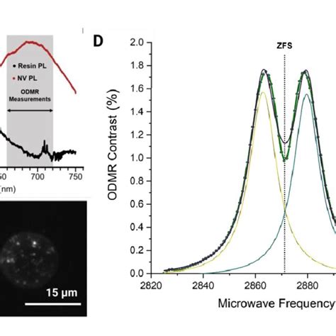 ODMR Imaging A Photoluminescent Spectra Of NV Centers And SZ2080