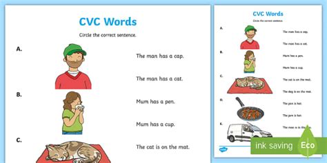 Cvc Words And Sentences Worksheets Printable Twinkl Worksheets Library