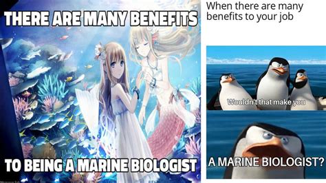 Discover The Many Benefits To Being A Marine Biologist With These 20