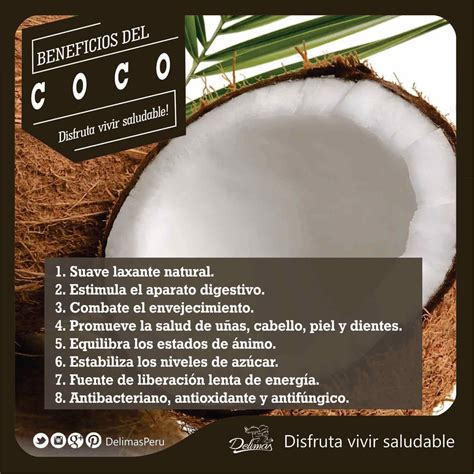 Coco Beneficios Todas sus propiedades para la salud Alimentación