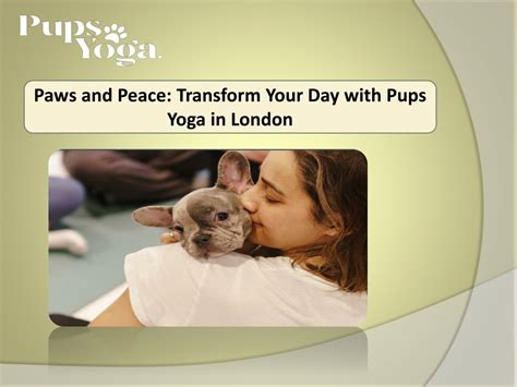 Ppt Paws And Peace Transform Your Day With Pups Yoga In London