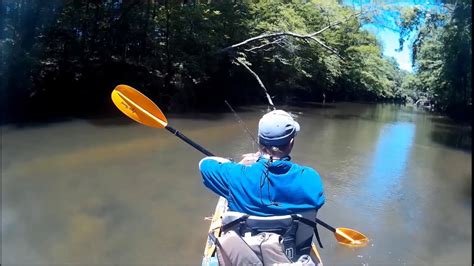 Alabama Creek Kayak Fishing Youtube