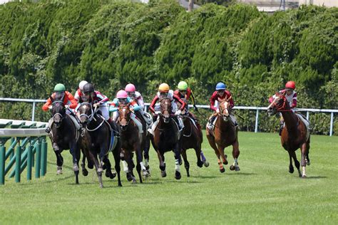 新馬戦回顧 メイクデビューの勝者達 2022年8月27日・28日 ウマフリ 競馬コラム＆ニュース