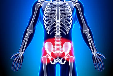 Hip Pain Diagram Hip Pain Diagram
