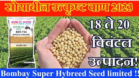 सोयाबीन उत्कृष्ट वाण 2023 I Kds 726 I एकरी 18ते20क्विंटल उत्पादन I Bombay Seed Kds 726 Youtube