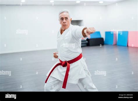 Karate master performing combat techniques Stock Photo - Alamy