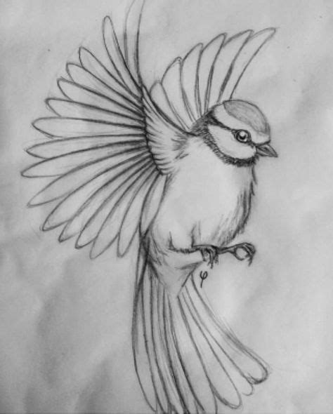 Drawing ideas easy animals sketch 65 ideas | Fly drawing, Sketches ...