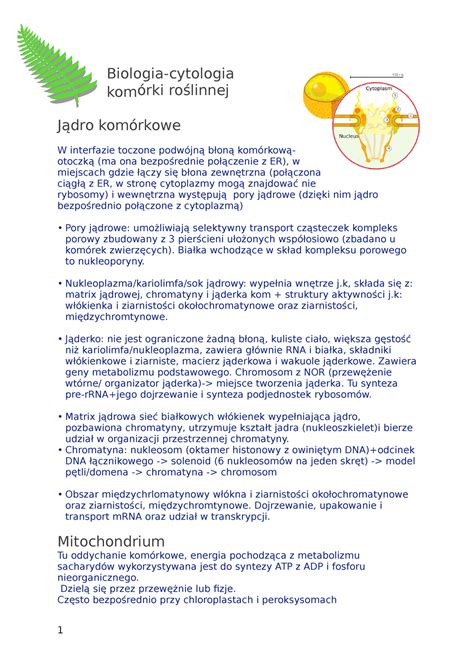 Cytologia Kom Rki Ro Linnej Kolokwium I Biologia Cytologia Kom Rki