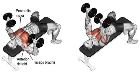 Flat Bench Dumbbell Press Chest Workouts Dumbbell Workout Dumbell