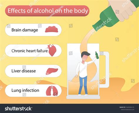 Effects Alcohol On Body Health Concept Stock Vector (Royalty Free ...