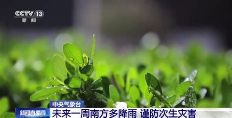 中央气象台：未来一周南方多降雨 谨防次生灾害央广网