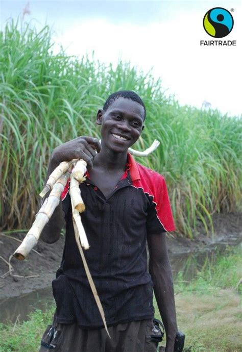 I Lived About 20k From A Massive Sugar Factory Illovo And Sugar Cane