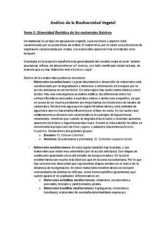 Tema 5 Pdf