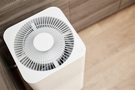 13 Best Dehumidifier For Basement | Reviews + Guide