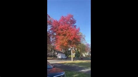 Fall Colors Brighten Up Philadelphia Area | news.com.au — Australia’s ...