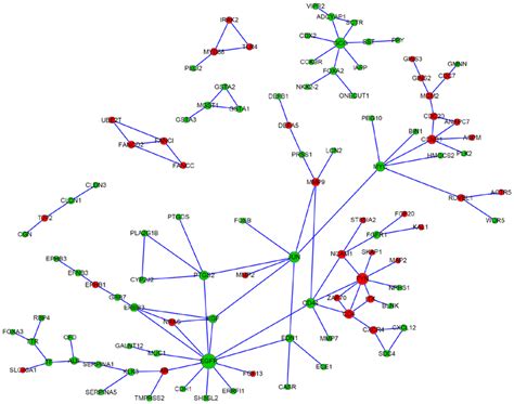 Protein‑protein Interaction Network Of Degs Between Solid Download