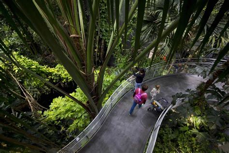 California Academy Of Sciences Kkday