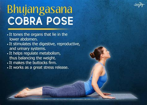 Bhujangasana The Cobra Pose Easy Yoga Workouts Yoga Benefits