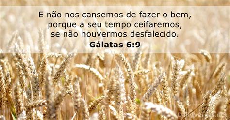 Gálatas 6 9 Versículo da Bíblia DailyVerses net