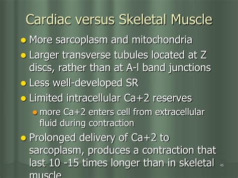 Ppt Three Types Of Muscle Tissue Powerpoint Presentation Free Download Id 6036446