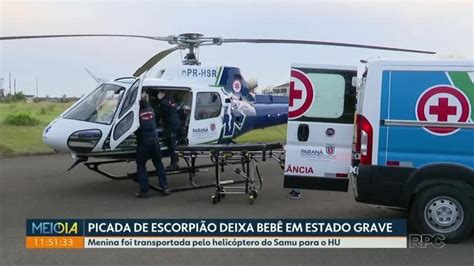 Bebê de 1 ano é picado por escorpião e estado de saúde é considerado