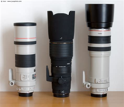 Sigma 100-300 f/4 vs Canon 300 f/4 IS e Canon 100-400 | JuzaPhoto