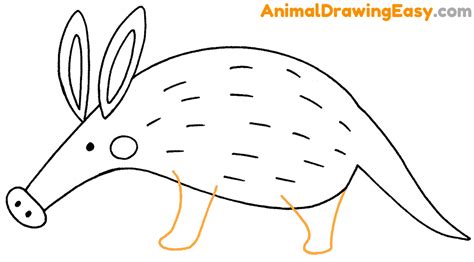 How to Draw an Aardvark - Animaldrawingeasy.com