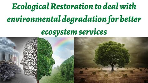 Ecological Restoration As A Sciencediscipline To Solve The Problem Of