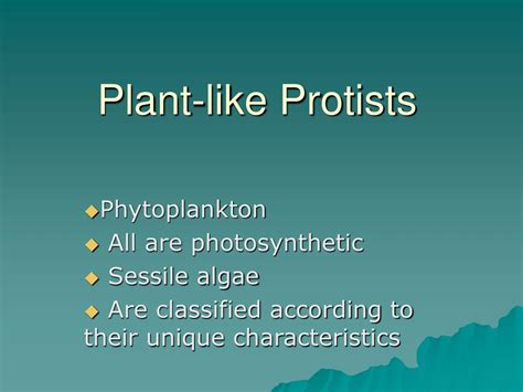 Ppt Plant Like Protists Powerpoint Presentation Free Download Id6876760