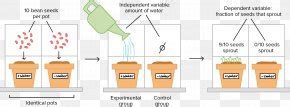 Museo Galileo Inclined Plane Scientific Method Science Experiment Png