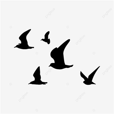 Flying Bird Vector Flying Bird Illustration Black And White Flying