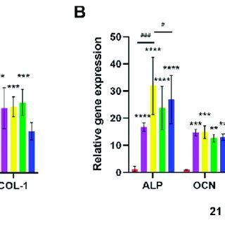 Expression Of Genes Related To Osteogenesis Gene Expression Results