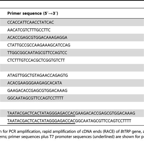 Primer sequences used for cDNA cloning, real-time quantitative PCR and ...