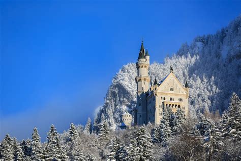 Schloss Neuschwanstein wird restauriert Gerüst de luxe DER SPIEGEL