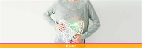 C Mo Mejorar La Microbiota Intestinal En El Envejecimiento