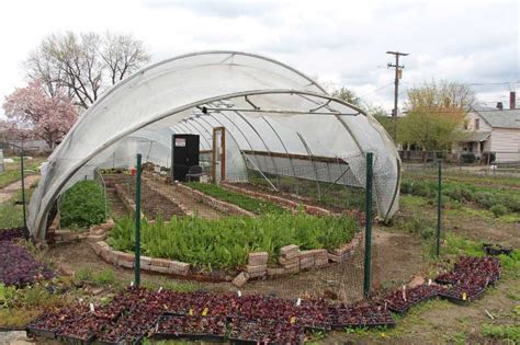 High Tunnels Offer Real Competitive Advantages For Your Crop Opinion