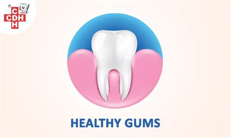 Ways To Keep Your Gums Healthy City Dental Hospital