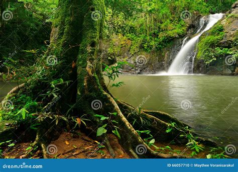 Sch Ner Wasserfall Versteckt In Einem Tropischen Regenwald Von Thailand