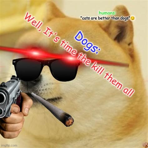 Doge Meme Imgflip