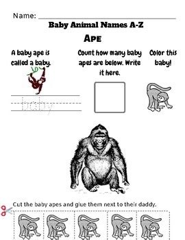 Baby Animal Names (A-Z) by Life and Homeschooling | TpT