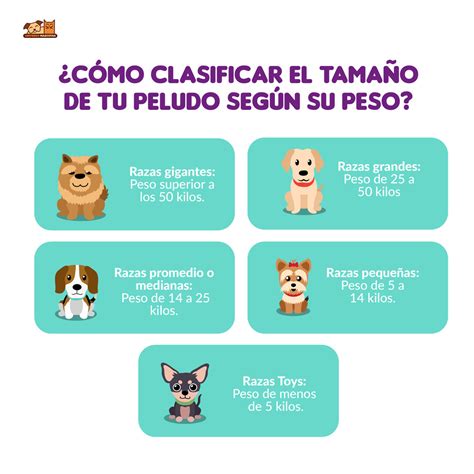 Cuánto va a crecer mi perro mestizo Las Reinas del Biberón