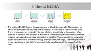 QBC ELISA Test PPT