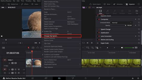 Davinci Resolve Tutorial Everything About Changing Clip Speed