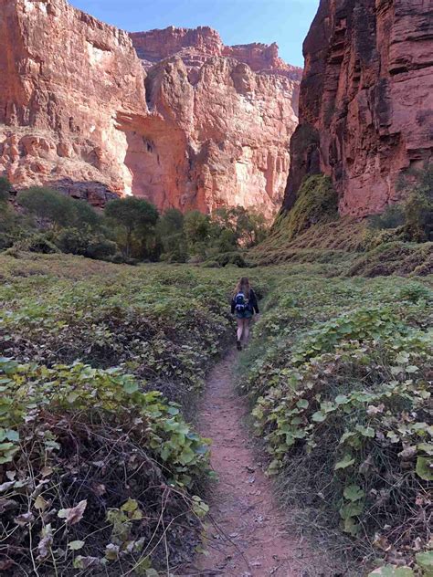 Your Complete Guide To Havasupai And The Havasu Falls Hike Artofit