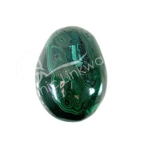 Malachite Egg Wholesale Oceanic Linkways In Nj Usa