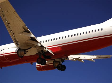 The Arrival Free Photo Download | FreeImages 