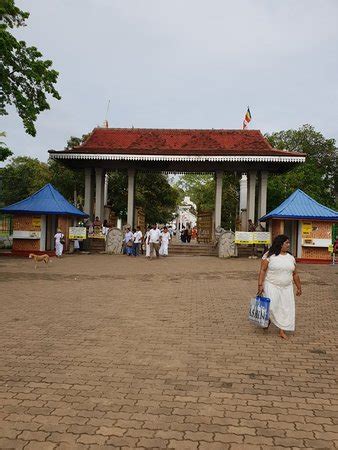 Jaya Sri Maha Bodhi Anuradhapura