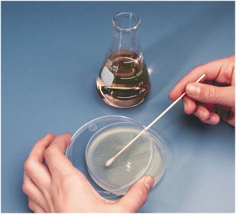 Bacterial Contamination of Water Test Kit Bacterial Contamination Of ...